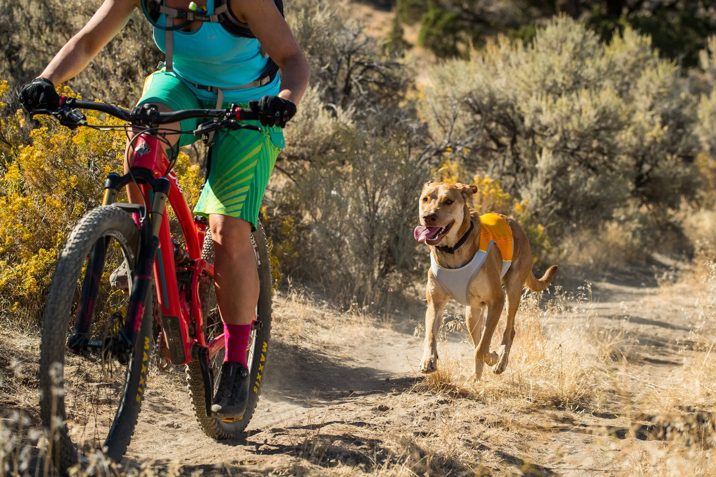 Jet Stream™ Dog Cooling Vest (Salamander Orange)