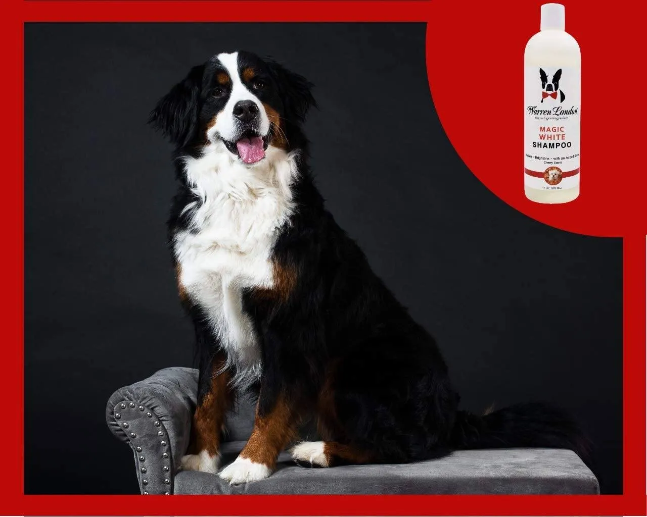 Magic White Brightening Dog Shampoo - Cherry Scented - 17oz