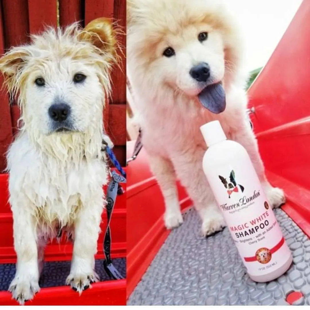 Magic White Brightening Dog Shampoo - Cherry Scented - 17oz