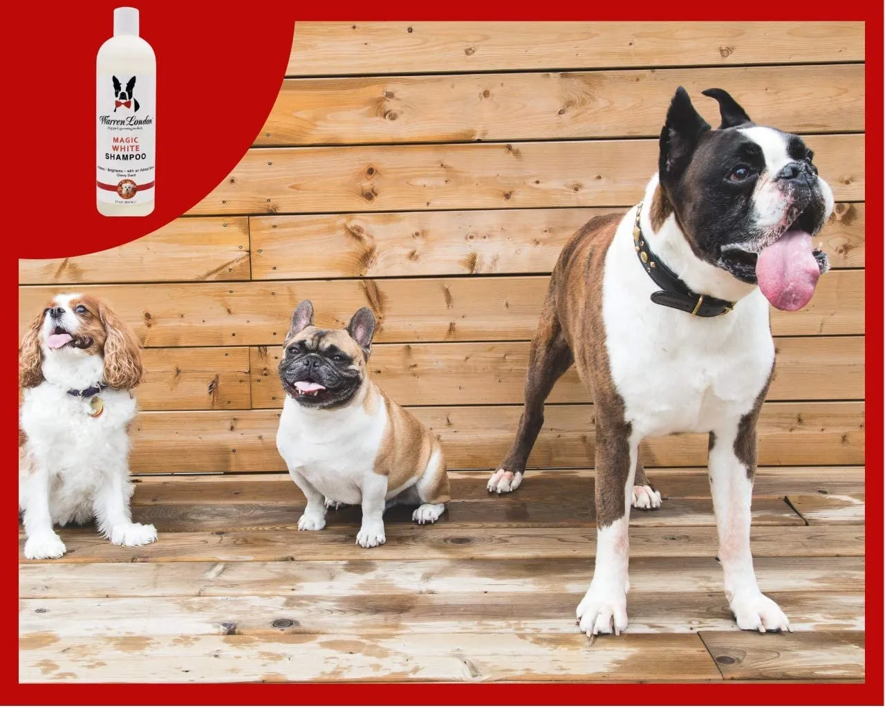 Magic White Brightening Dog Shampoo - Cherry Scented - 17oz