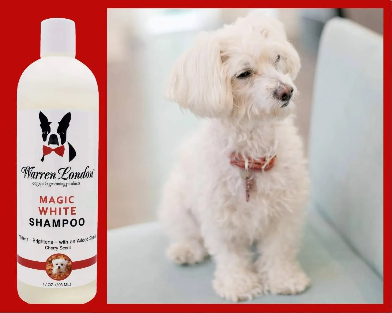 Magic White Brightening Dog Shampoo - Cherry Scented - 17oz